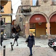 Maestra con esperienza trentennale madre lingua italiana, è disponibile per lezioni di lingua italiana ed aiuto compiti